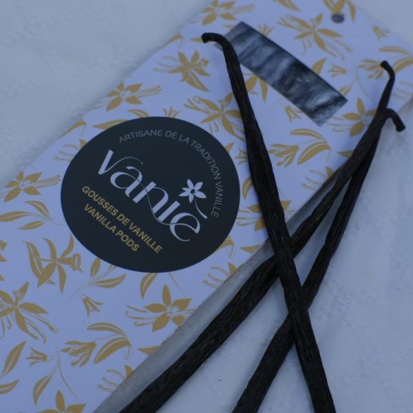 Gousse en carton (2)